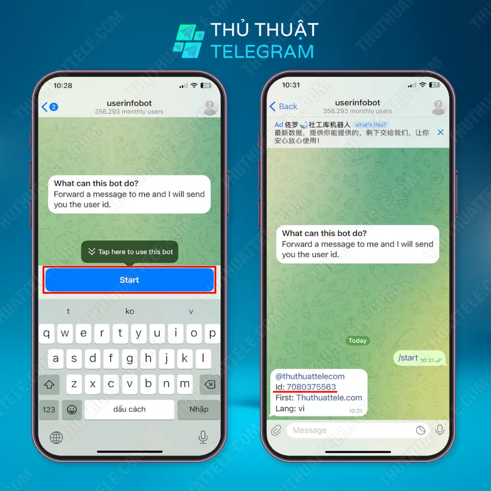 Cách xem Telegram ID cá nhân