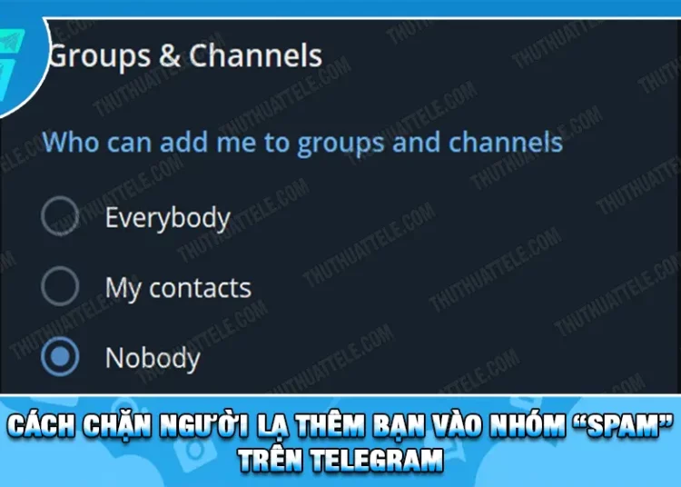 Cách Chặn Người Lạ Thêm Bạn Vào Nhóm “Spam” Trên Telegram