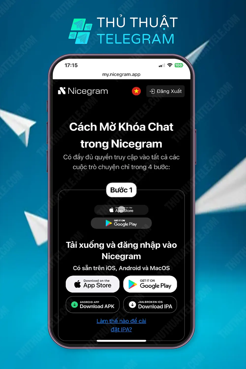 Sử dụng ứng dụng Nicegram (iOS)
