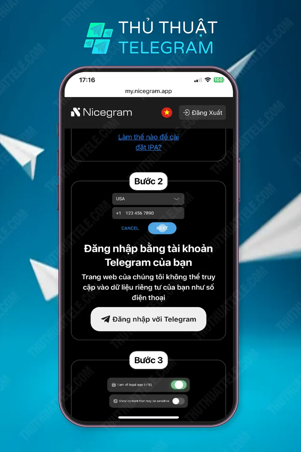 Sử dụng ứng dụng Nicegram (iOS)