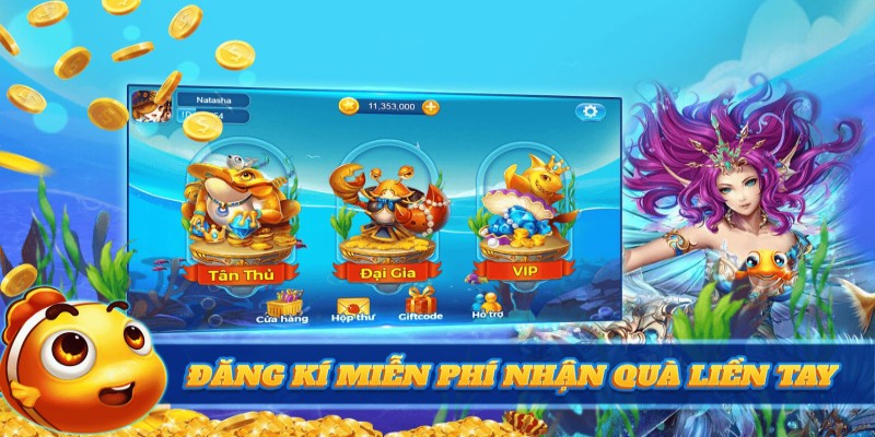 Phòng Đại Dương với mức cược vừa phải