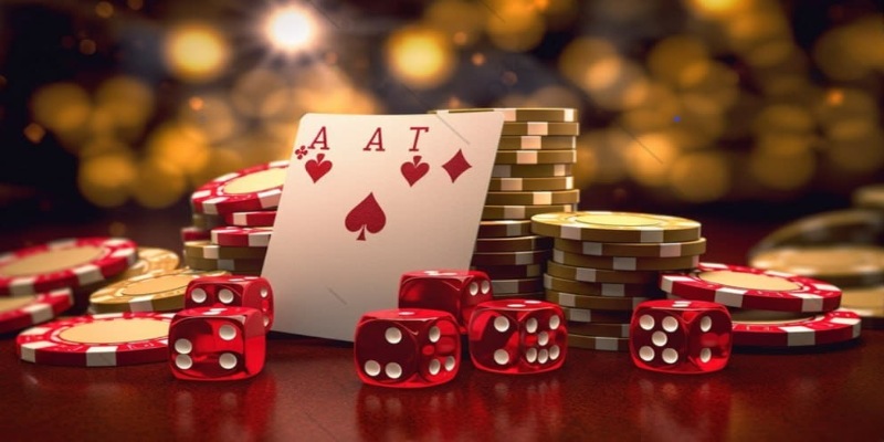 Sinh vật sở hữu lượng máu khổng lồ chứa đựng hũ thưởng Jackpot cực lớn